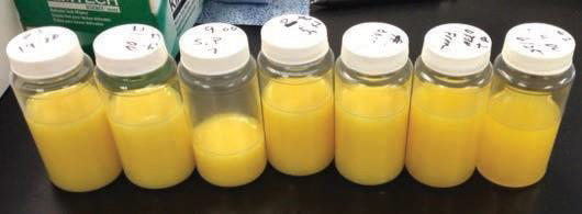 Рис. 6: Пробы после гомогенизации в течение 30 секунд с высокой скоростью.